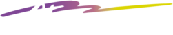 Chronox Logo in White on a Transparent Background