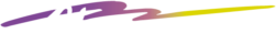 Chronox Logo in White on a Transparent Background